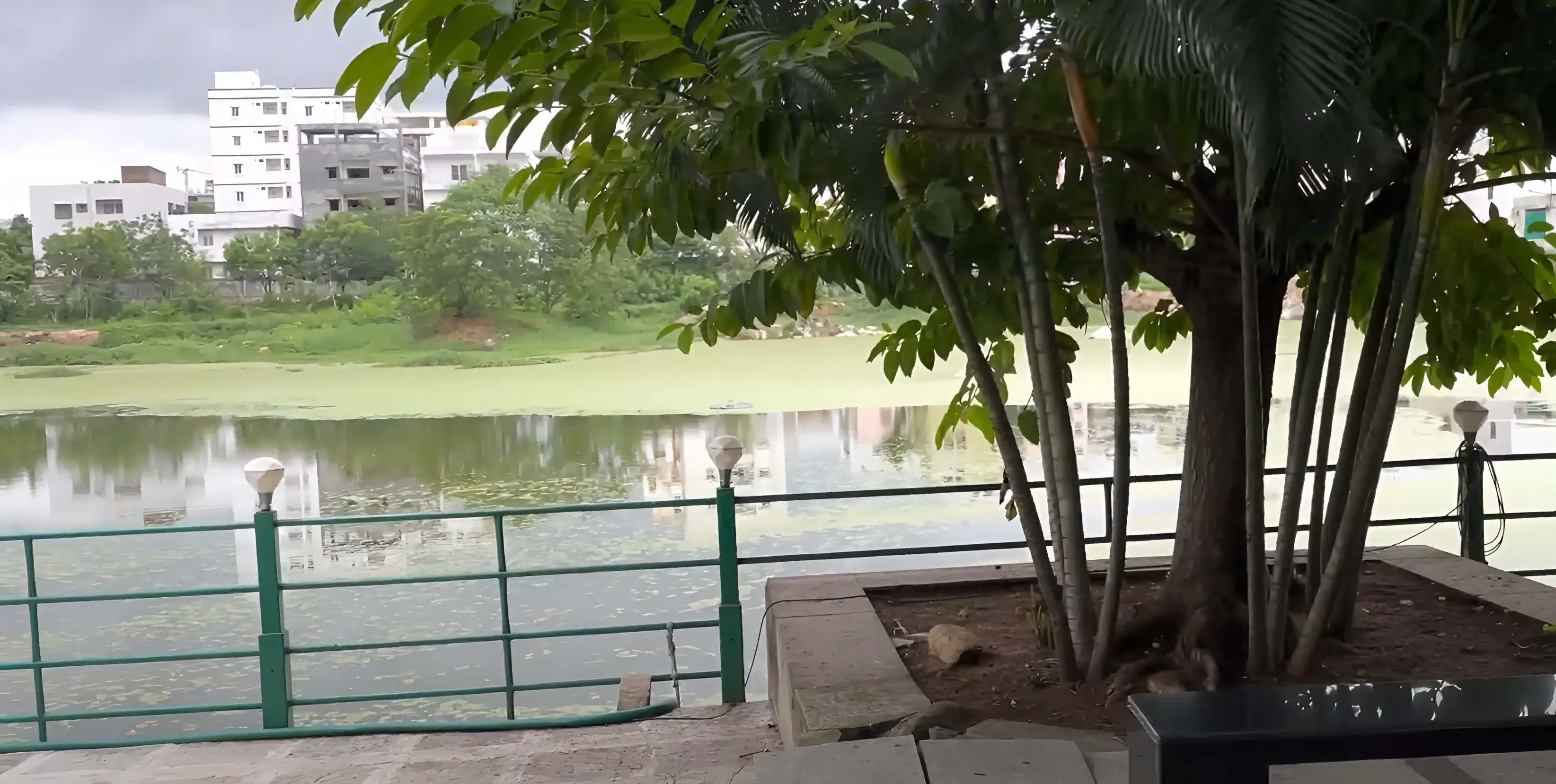 Dr. YSR National Institute of Tourism and Hospitality Management Hyderabad Campus photo 17